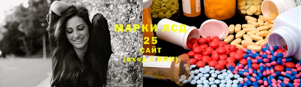 мдпв Богданович