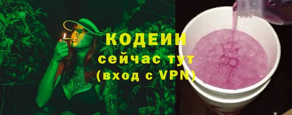 прущие крисы Инта