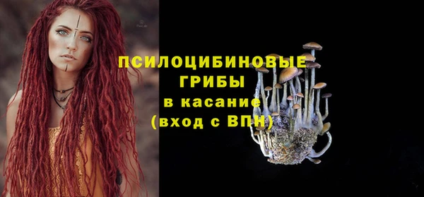 Альфа ПВП Бугульма