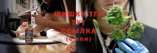 мдпв Богданович