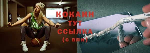 индика Дмитровск