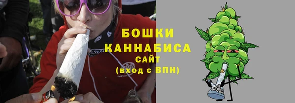 тгк Бородино