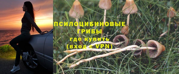 Альфа ПВП Бугульма