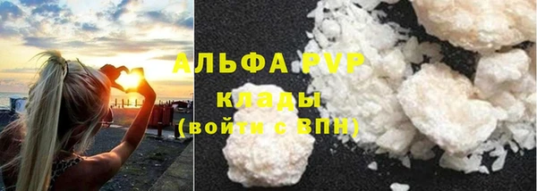 мдпв Богданович
