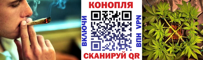 Бошки Шишки гибрид  MEGA как зайти  Баксан 